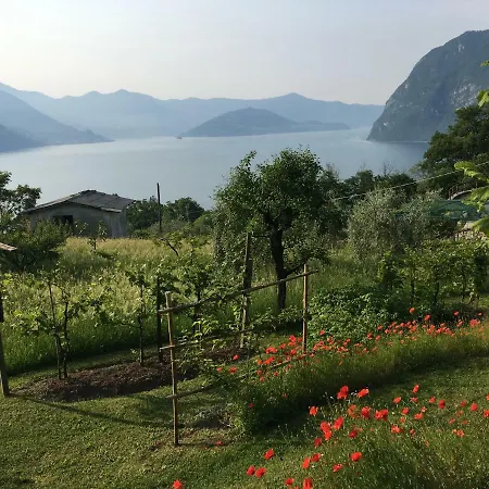 Appartamento Irina's House With View On Like And Swimming Pool *
