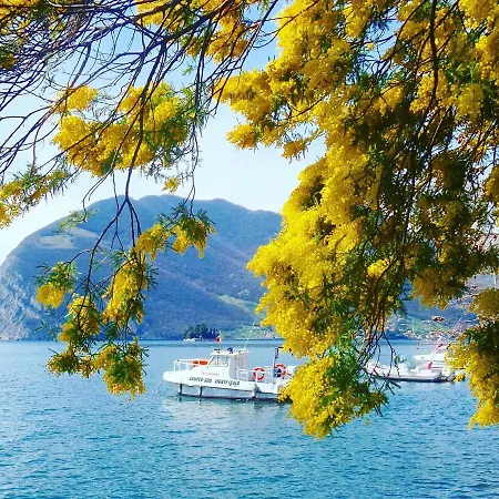 Daire Irina's House With View On Like And Swimming Pool Riva di Solto